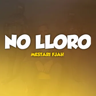 No Lloro by Mestari Fjah