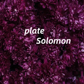 plate by SOLOMON