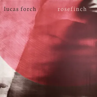 Rosefinch by Lucas Forch