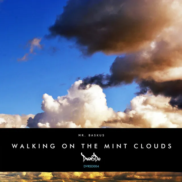 Walking On The Mint Clouds - Original Mix