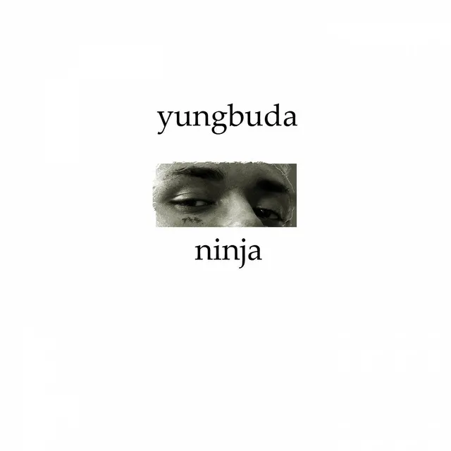 Ninja