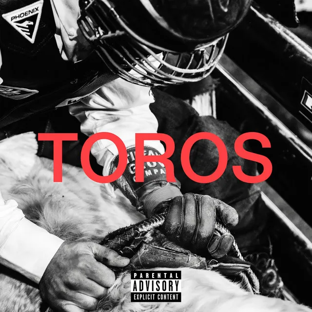 Toros