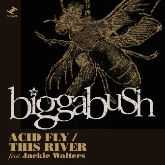 Acid Fly / This River by Biggabush