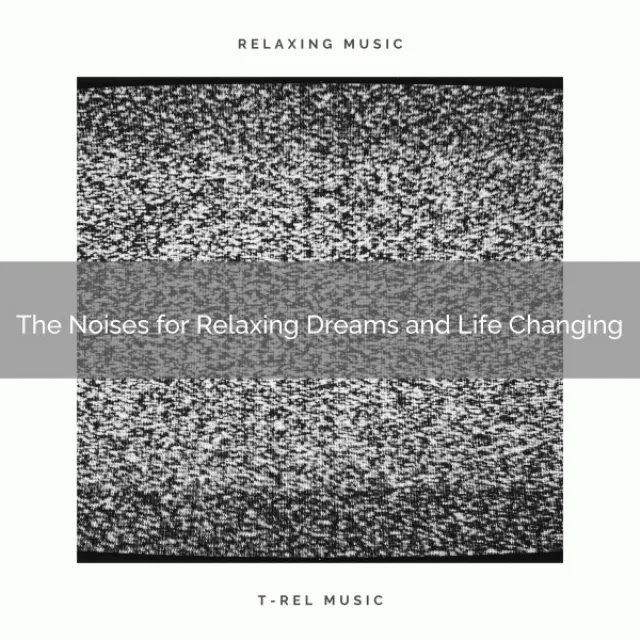 The Noises for Relaxing Dreams and Life Changing