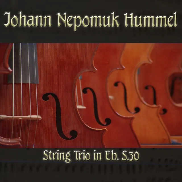 String Trio in Eb, S.30 in E-Flat Major, S. 30: I. Allegro con brio