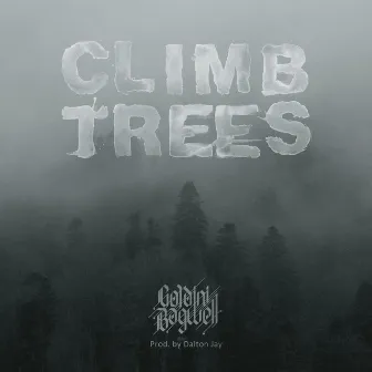 Climb Trees by Goldini Bagwell