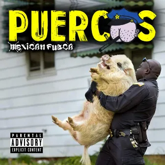 Puercos by Mexican Fusca