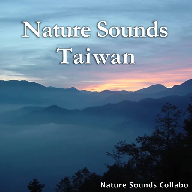 Nature Sounds Collabo