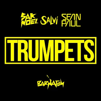 Trumpets by Salvi