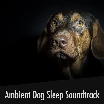 Ambient Dog Sleep Soundtrack by Relaxing Doggy Sleep