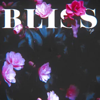 Bliss by Pardeep Hundal