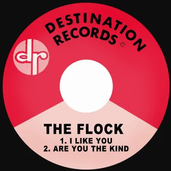 I Like You / Are You the Kind by The Flock