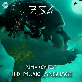 The Music Language (F.S.G Remix) by Name In Process