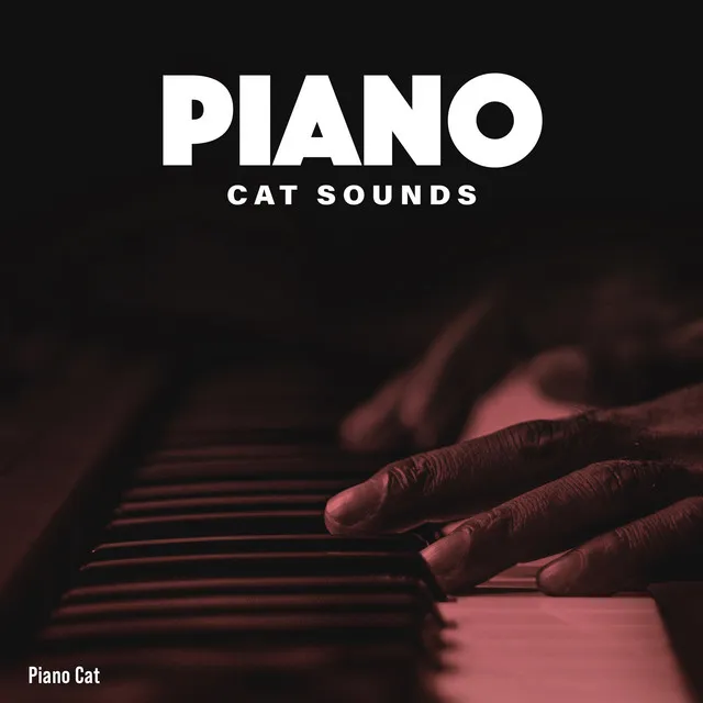 Piano Cat Sounds