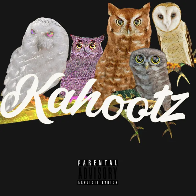 Kahootz