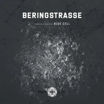 Beringstrasse (DJ Mix) by 