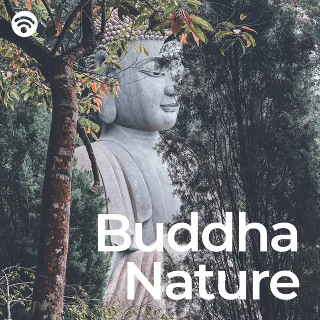 Buddhist Meditation Music Set / Guided Meditation Music Zone