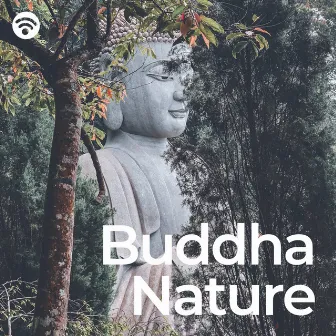 Buddha Nature: Celestial Resonance of Enlightenment by Buda