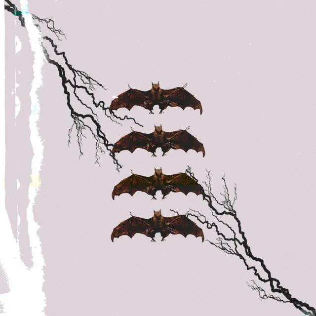 BATS