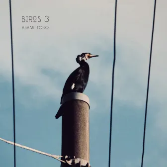 Birds 3 by Asami Tono