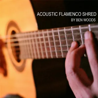 Acoustic Flamenco Shred by Ben Woods