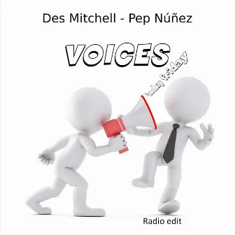 VOICES (Radio Edit) by Des Mitchell