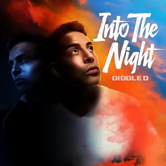 Into the Night by Diddle D