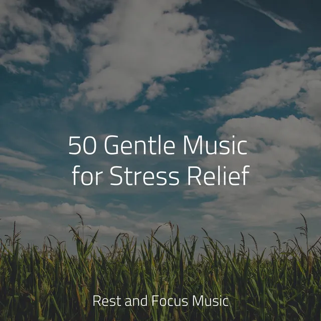 50 Gentle Music for Stress Relief