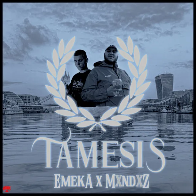 TAMESIS