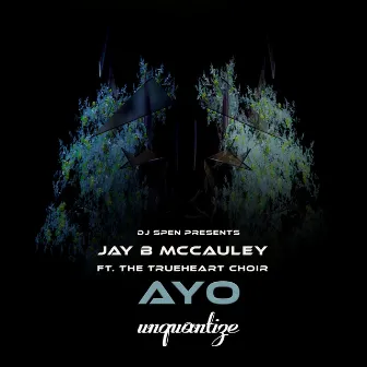 Ayo by Jay B McCauley