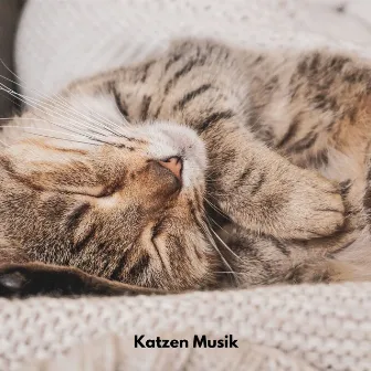 Katzen Musik by Musik für Katzen TA