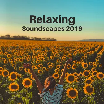 Relaxing Soundscapes 2019 by Anti Stress Music Zone