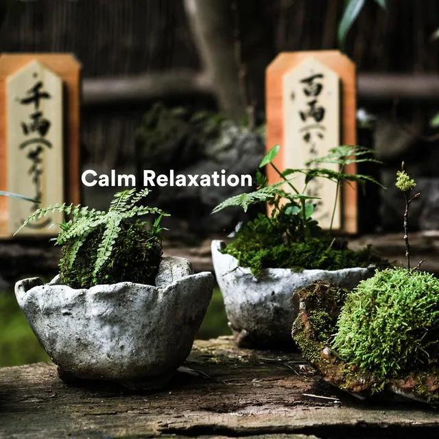 Calm Relaxation