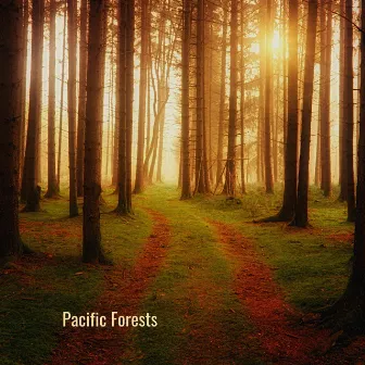 Pacific Forest by The Harmony