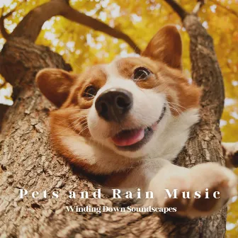 Pets and Rain Music: Winding Down Soundscapes by Music for Cats and Dogs