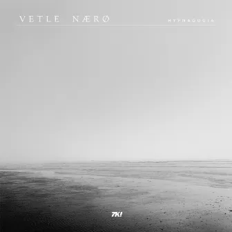 Hypnagogia by Vetle Nærø