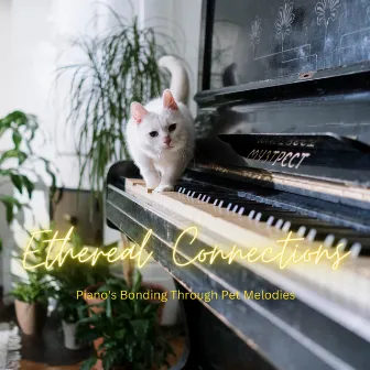 Ethereal Connections: Piano's Bonding Through Pet Melodies by Cafe Chillout Jazz