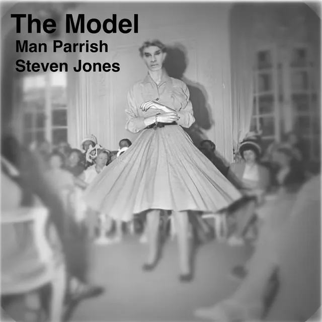 The Model