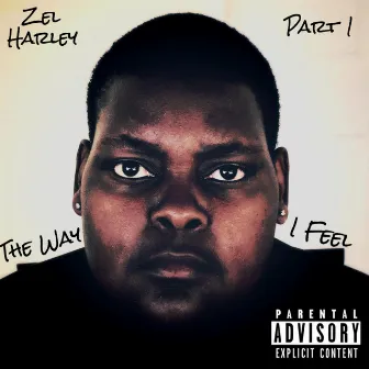 The Way I Feel, Pt. 1 by Zel Harley