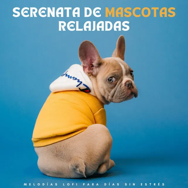 Serenata De Mascotas Relajadas: Melodías Lofi Para Días Sin Estrés