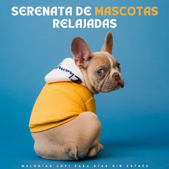 Serenata De Mascotas Relajadas: Melodías Lofi Para Días Sin Estrés by Lofi triste