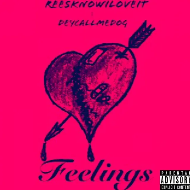 Feelings