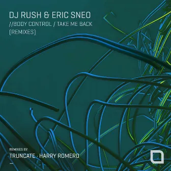 Body Control / Take Me Back (Remixes) by DJ Rush