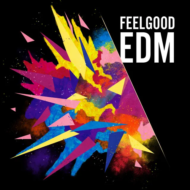 Feelgood EDM