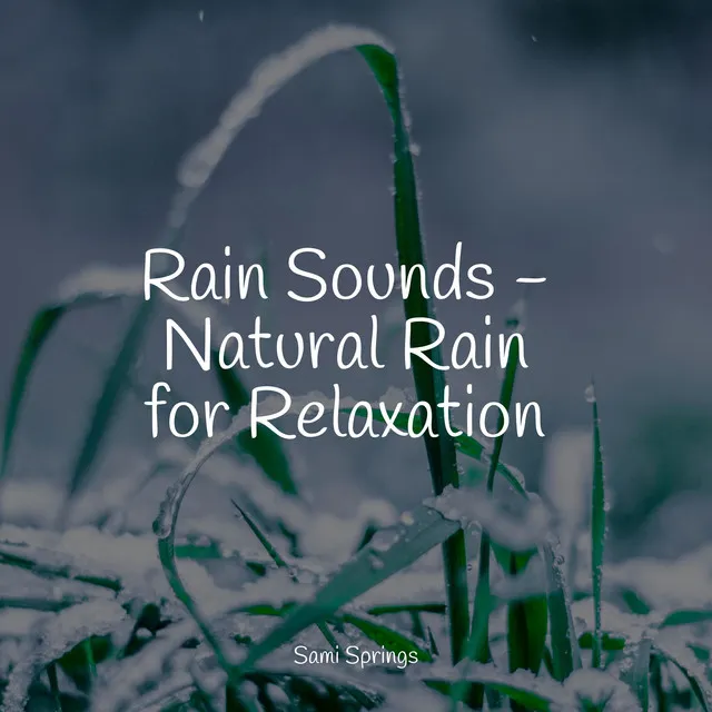 Rain Sounds - Natural Rain for Relaxation