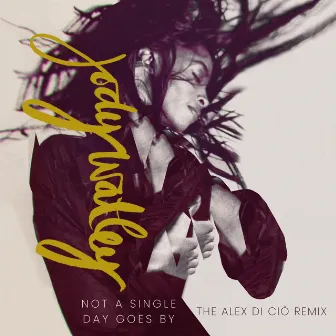 Not a Single Day Goes By (Radio Edit) by Alex Di Cio