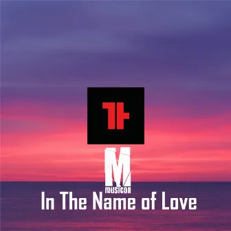 In the Name of Love by Tamas Halo