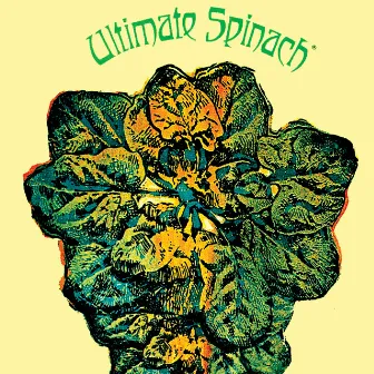 Ultimate Spinach by Ultimate Spinach