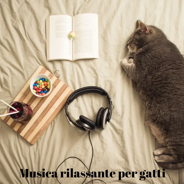 Cat Music!