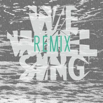 We Will Sing (Remix) - Single by Seeker & Servant